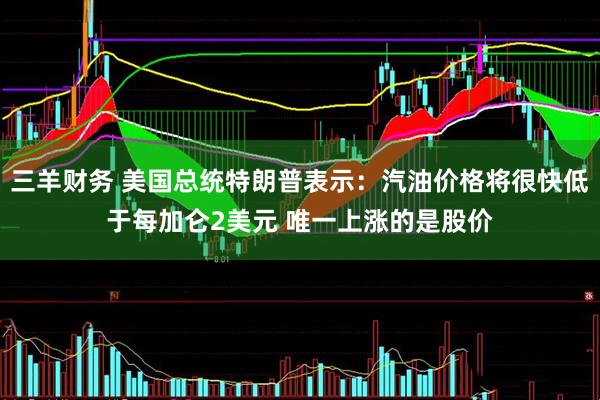 三羊财务 美国总统特朗普表示：汽油价格将很快低于每加仑2美元 唯一上涨的是股价