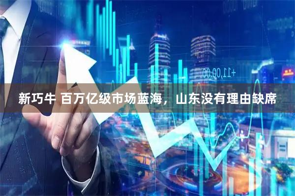 新巧牛 百万亿级市场蓝海，山东没有理由缺席