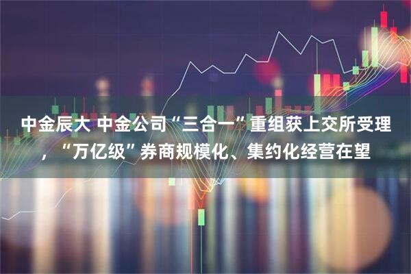 中金辰大 中金公司“三合一”重组获上交所受理，“万亿级”券商规模化、集约化经营在望
